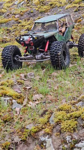 Axial Wraith 2.2 #RTR Spawn 10th #Scale High Country Off-road #Mountain Adventure