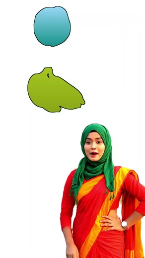 Exploring Shadows of Banana and Palm Trees