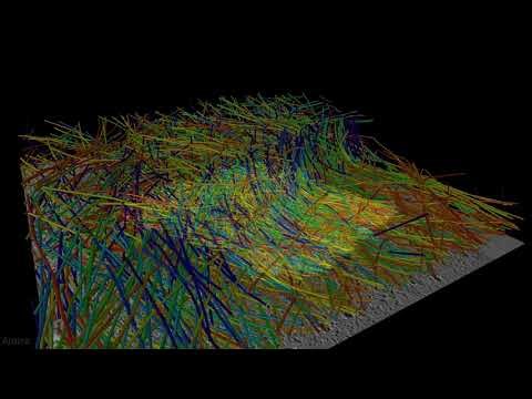 Actin Wave Characterization with Cryo-ET and Amira Software