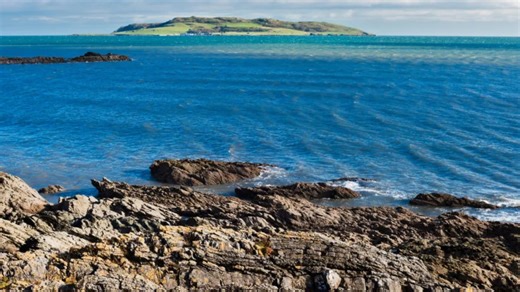 The Irish island unlike anywhere in country with wallabies, castle & day trips