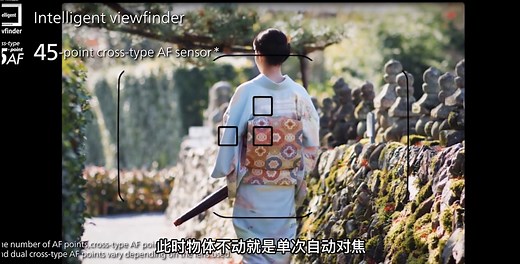 相机上的AF-C、AF-S、AF-A，你知道是什么吗？摄影新手必学