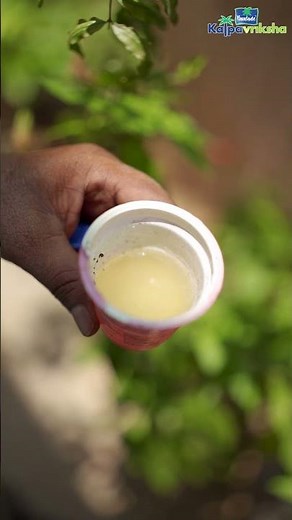 Cow's urine as source of nutrients supplier