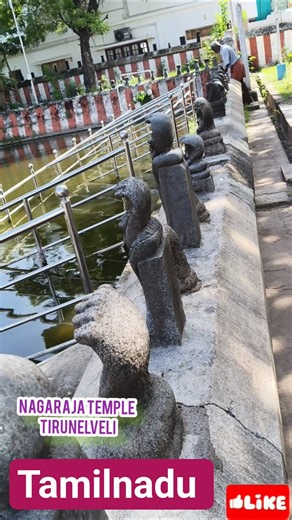 Nagaraja Temple, #Nagercoil #tamilnadu #nagaraju