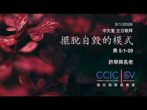 CCIC-SV 中文堂主日敬拜 擺脫自毀的模式