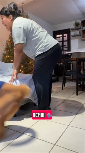 H U M A N A I T Z E L 🐾 💕 on Instagram: "#tito #remi #pancho #parati #mexico #fyp #limpieza"