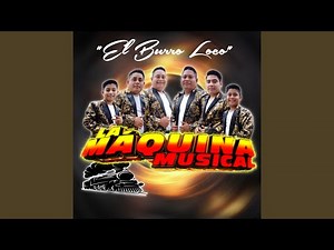 El Burro Loco