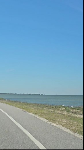 Exploring Fort Morgan: Beach Access and Taco Tuesday Fun
