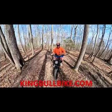 KINGBULL BIKE…The RANGER. Affordable Fun at $739! #live #love #ebike #explore #fun #ebikes #mtb