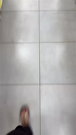 Svetofor Backa Palanka: Niske Scene