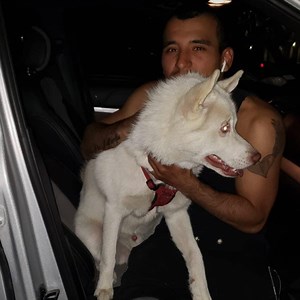 scratchofff - Twitch