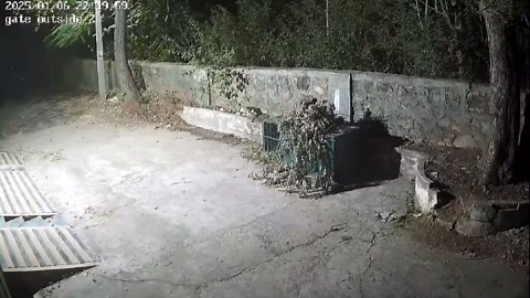 Clever leopard quickly avoids being trapped in cage