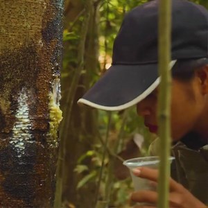 Building a Mini Tree House in the Deep Jungle by Hand Alone | Jungle Survival star