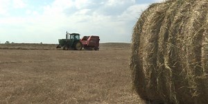 N.C. Department of Agriculture crop loss program applications due today