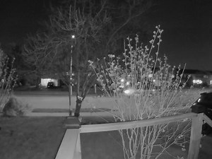 16K views · 41 reactions | Continue to investigate a multiple shooting that occurred in Kitchener on April 22. Looking to speak with the occupants of the vehicles contained in the video as they may have witnessed the suspect vehicle fleeing the scene. More details:https://bit.ly/3eGhLB0 | Waterloo Regional Police Service | Facebook