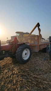 1.6M views · 35K reactions | Today wheat price in bahawalpur Punjab 14/4/2025 #wheat #solarsystem #agriulture #hum_kisan_hamra_pakistan #tubewell #agriculture #solar #farming_ismylife #tractor #farminglife #Agriculture | Hum Kissan Hamara Pakistan2 | Facebook
