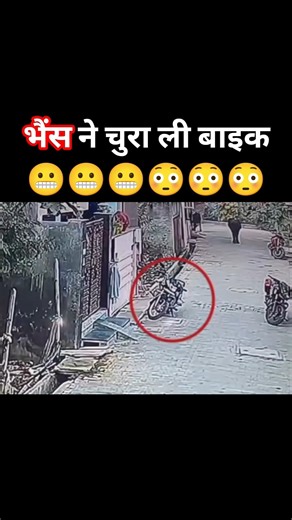 भैंस ने बाइक चुरा ली😬।#hssc #cet #viral #shorts #trending #comedy #bike #buffalo #result #funny