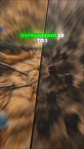 The Irish at Jadotville! #history #irish #army #battle | The Stoic English