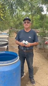 Agradecemos la Recomendación de El Señor Héctor Enciso de Criadero El Quelite en el Estado de Sinaloa 🤝🏻💪🏻#masterlabmvzbenitolopez #masterlabmvzbenitolopez #coccidialmaster | Master Lab Mvz Benito Lopez