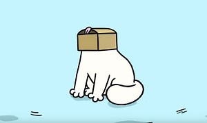 Simon's Cat's Guide to Boxes