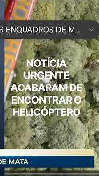 The helicopter belonging to the duo Rick and Renny was found in the woods.