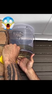 4.1M views · 25K reactions | How to Evict Wasps Without Getting Stung  | Viral Videos | Facebook