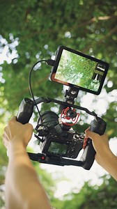 📸 Limited Time Offer! Universal Camera Cage Rig – Compatible with Canon, Sony, Nikon, Fujifilm & more. Quick release, dual handles, and multiple mounting points. | Neewer