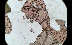 Optical Mineralogy Orthopyroxene Tutorial