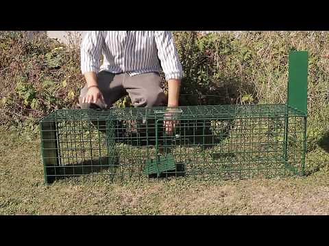 Cage Renard à Appat