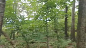 1.9K views · 95 reactions | Hiking and history in Jenny Jump State Forest NJ, on Summit Trail | Metrotrails | Facebook