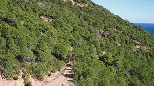 France.2021.FRENCH.BDRip.x264