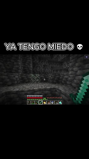 Ahora si da miedo el Herobrine #minecraft #herobrine #viral_video #argentina #parati #fyp