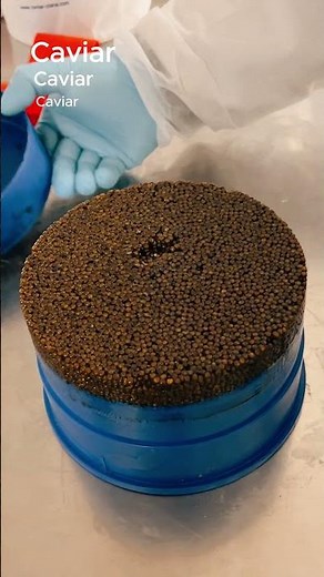 Caviar ou œufs de truite ? C'est une question difficile !