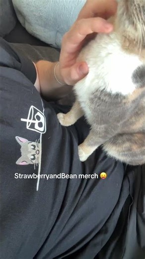 Link will be in my Instagram and tik tok bio! #cats #fyp #strawberryandbean #merch