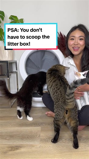 Your cats will thank you for keeping their bathroom clean with Litter-Robot! #Clean #Cats #LitterRobot
