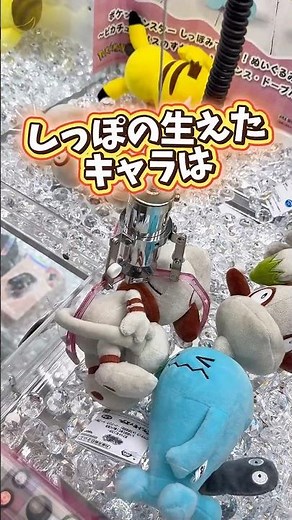 【UFOキャッチャー必勝法✨】このドーブル絶対アイアンテール覚えとる #ポケモン #ポケットモンスター #short #shorts #pokemon #クレーンゲーム #ufoキャッチャー