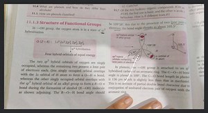 11.4 What are phenols and how do they differ from alcohols?11.... | Filo