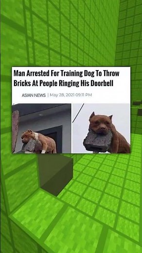 Funny Memes That Are Actually Good