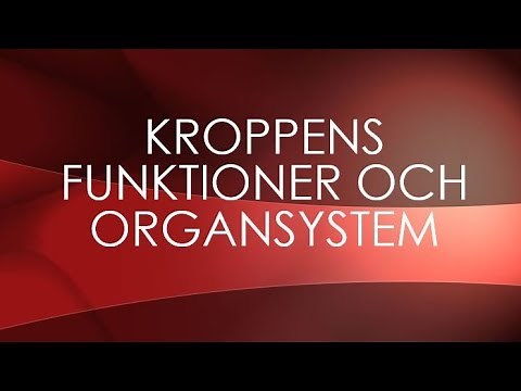 Människokroppen - organsystem