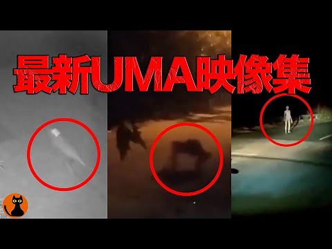 #46.最新UMA映像集