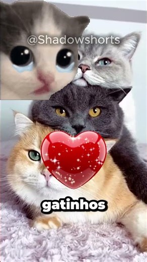 ELE faz de TUDO pelo emprego!!☺️​🙂🥺 ​ #curiosidades #pets