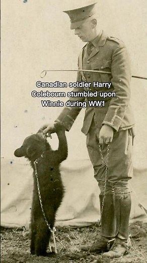 The real-life Winnie the Pooh #history