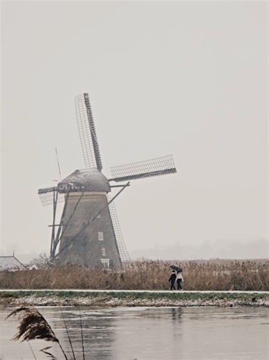 Walking through a postcard called Kinderdijk 🇳🇱 #kinderdijk #snow #winterwonderland