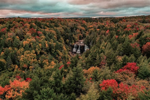 Where leaves are changing: WV Tourism releases first fall foliage report