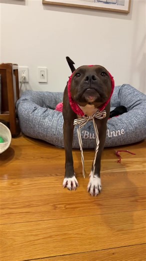 Knitting Buggy's Bonnet: DIY Blocking and Crafting