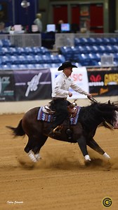 32K views · 924 reactions | Golden Coins, the Stallion and KOLE PRICE...