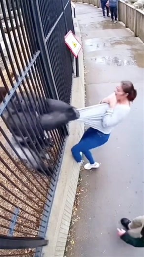 wildnatureshorts A.I on Instagram: "Japan is turning footsteps into electricity using piezoelectric tiles. Every step creates a small amount of energy, and millions of steps together power LED lights and digital systems-supporting a more sustainable urban future. 🌳 #Japan #FutureTechnology #RenewableEnergy #SmartCity #Innovation forestry 🌿"