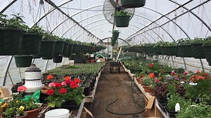 Family farming still holds strong in Oregon despite closure of Lone Pine Farms