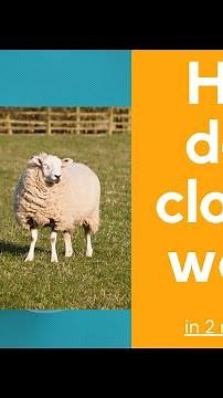 How does cloning work? - explained in 2 mins!