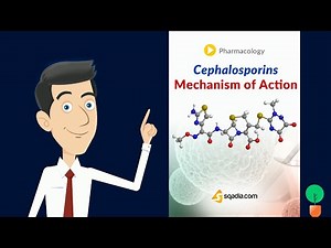 Cephalosporins; Mechanism of Action | Pharmacology