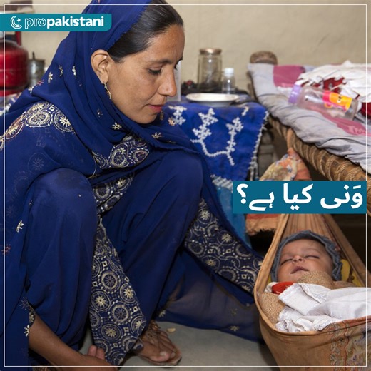 115K views · 2.2K reactions | Let's find out what 'Vani' means and how common it is in Pakistan. | ProPakistani | Facebook